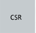Corporate Social Responsibility